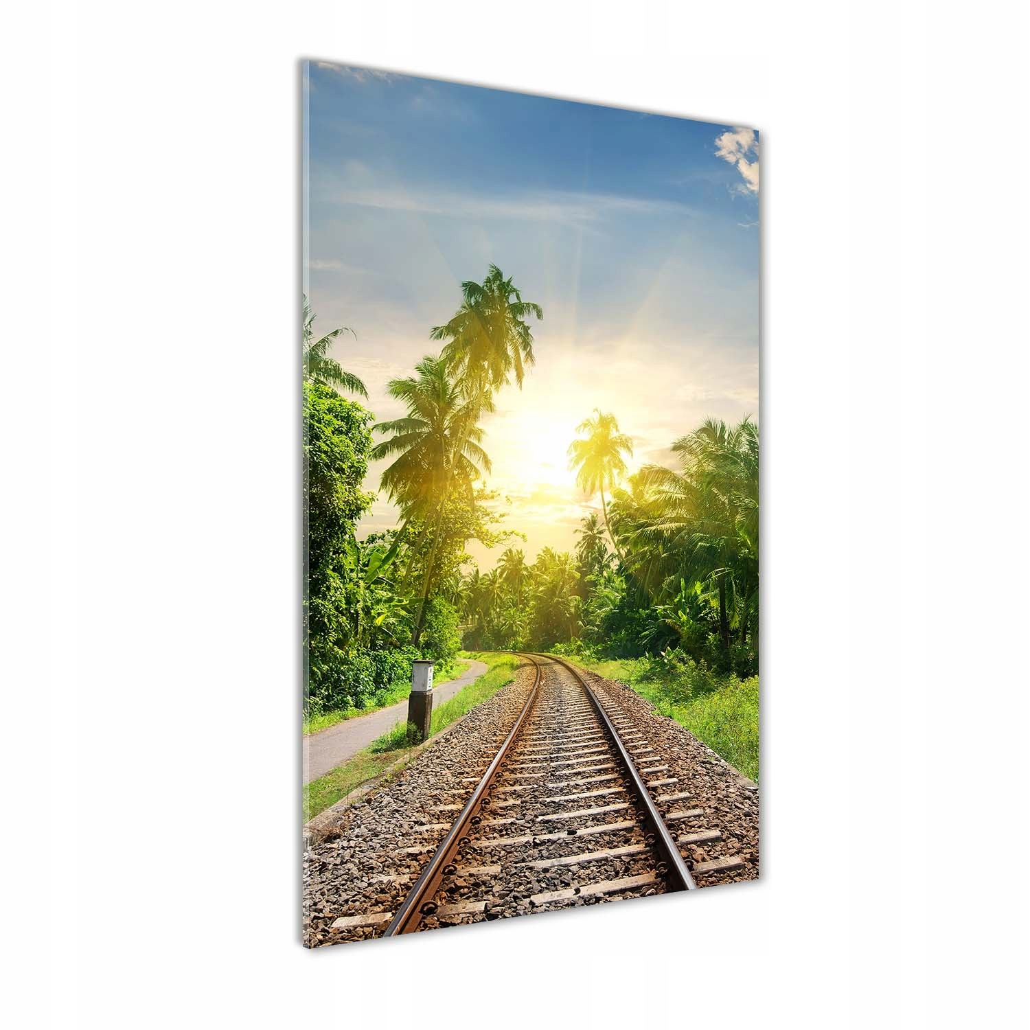 

Foto obraz szkło hartowane Tory kolejowe 60x120 cm