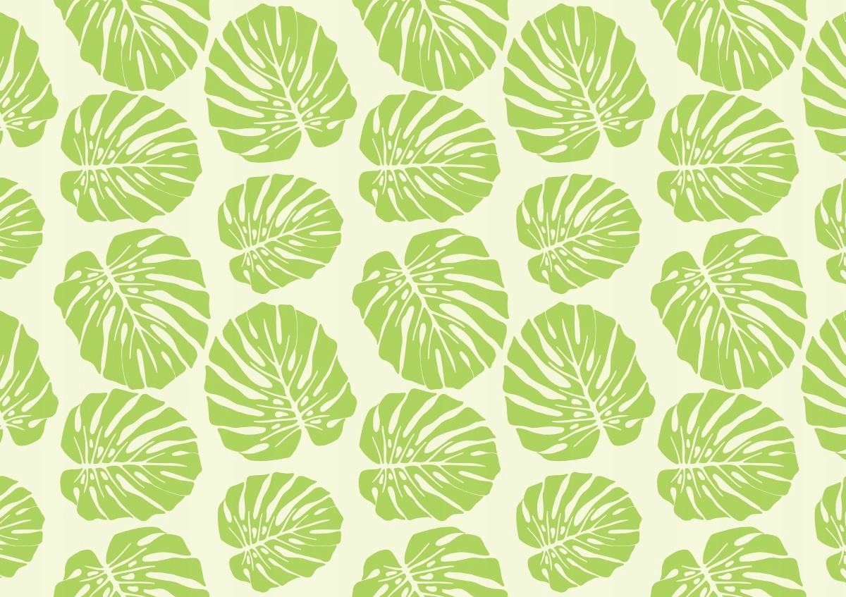 

Fototapeta Flizelinowa Liście monstery 208x146