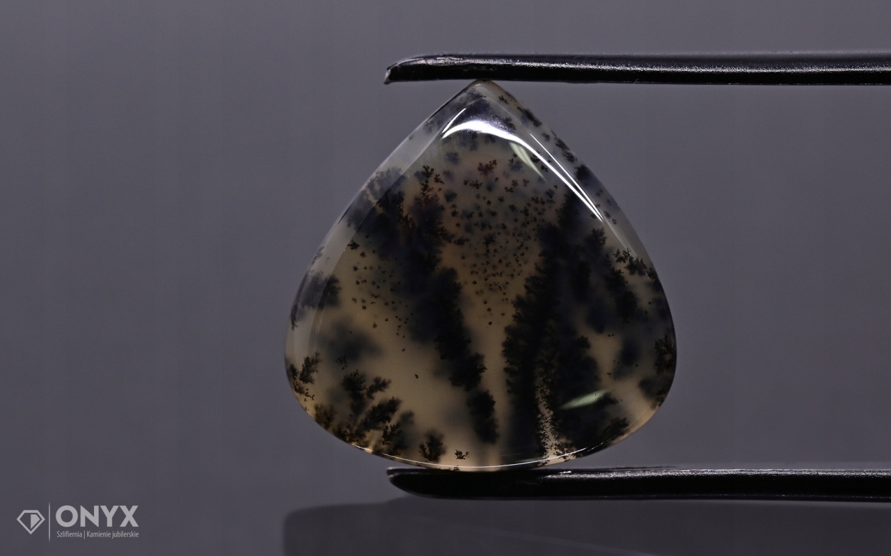 Dendritový achát z Kazachstánu konvexní plaketa slza