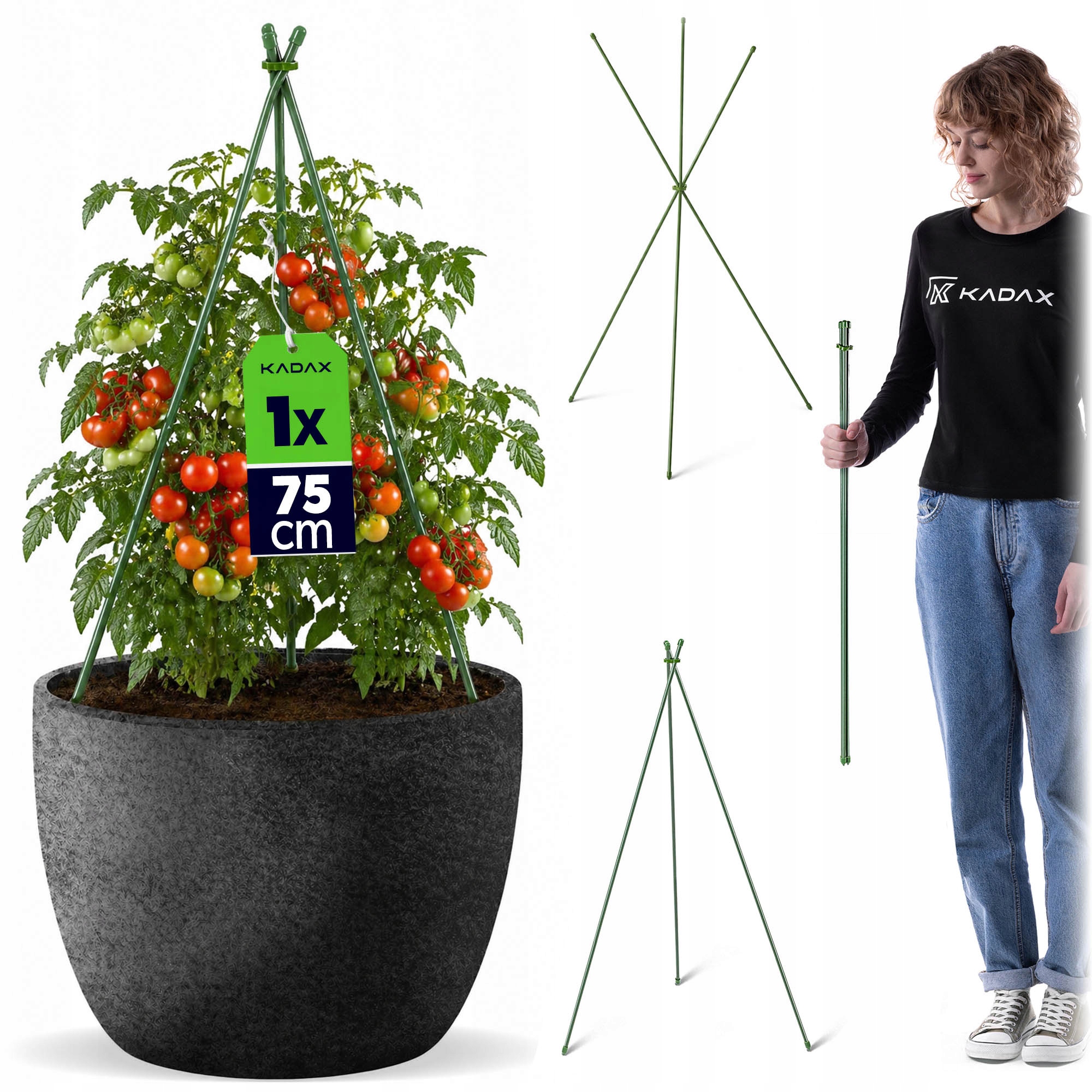 PODPORA DO ROŚLIN 75 cm KWIATÓW PNĄCYCH HORTENSJI TYCZKI STOŻKOWA