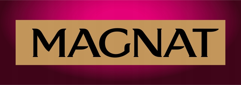 MAGNAT Primer Grunt Biały 2,5l Farba podkładowa Marka Magnat