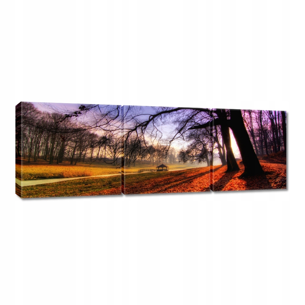 

Obrazy 90x30 Park w Wąsowie