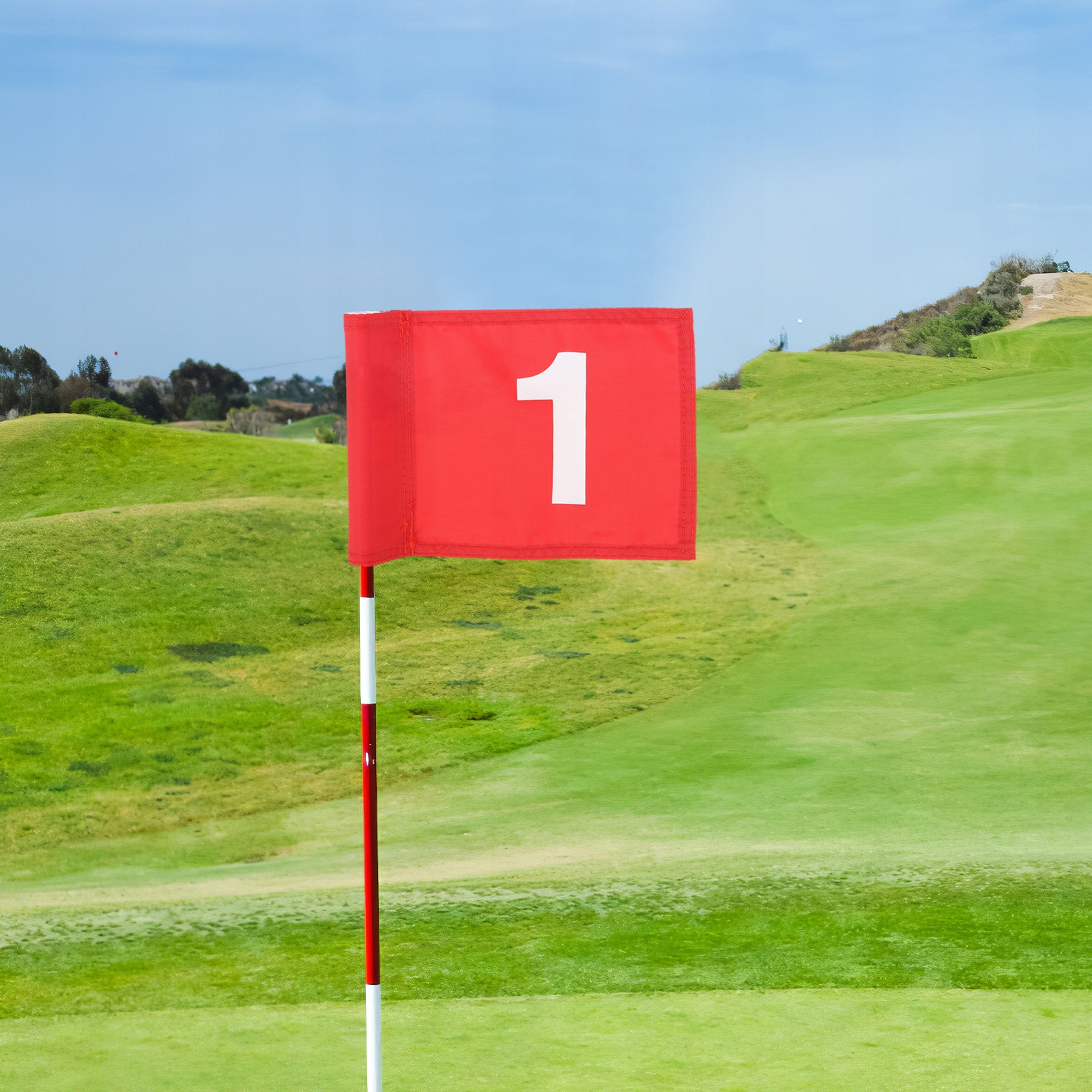 PIŁKI GOLFOWE ZNACZNIKI SPRZĘTU TRENINGOWEGO MAŁE GOLBY Rodzaj inny