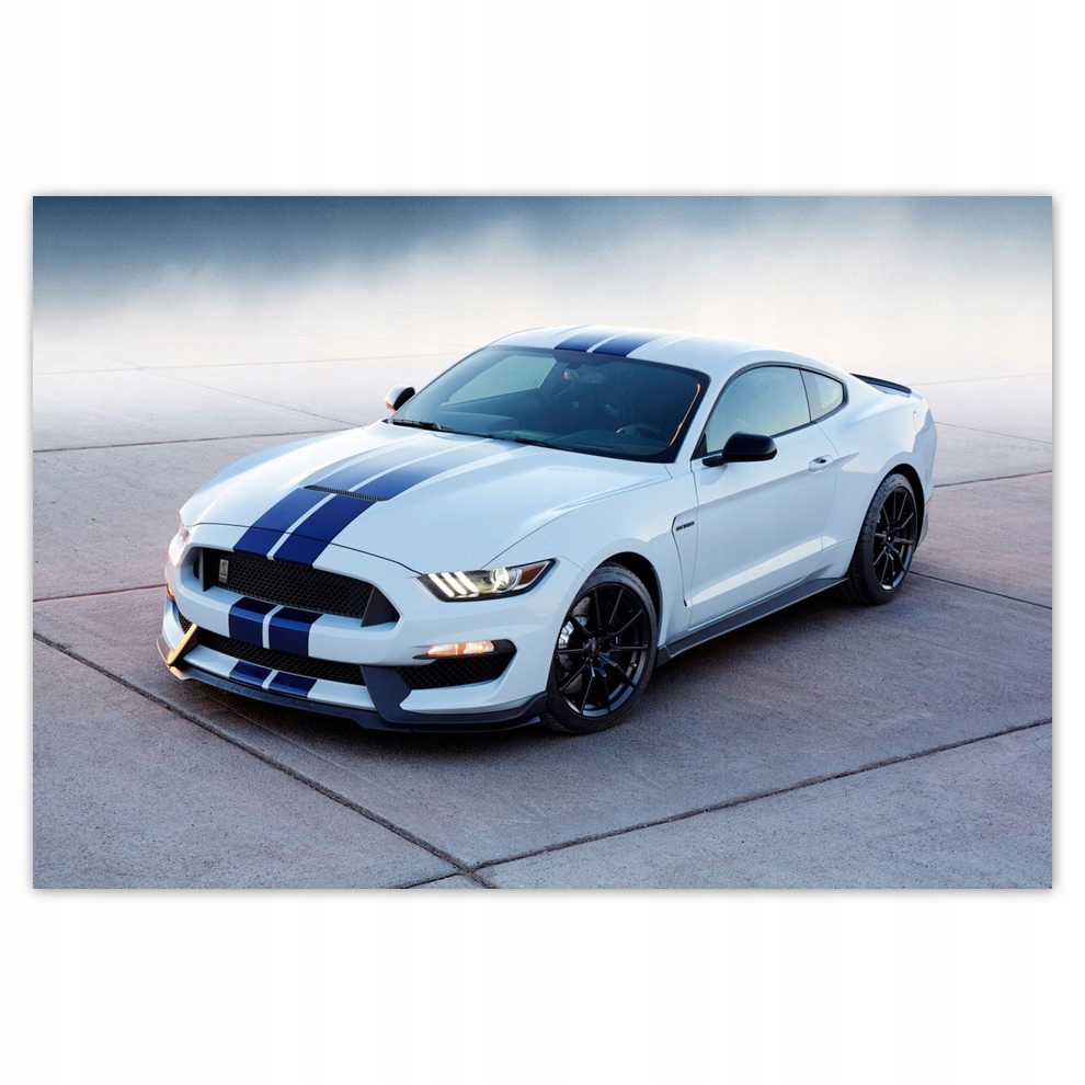 

Fototapety flizelina 104x70 Ford Mustang Shelby