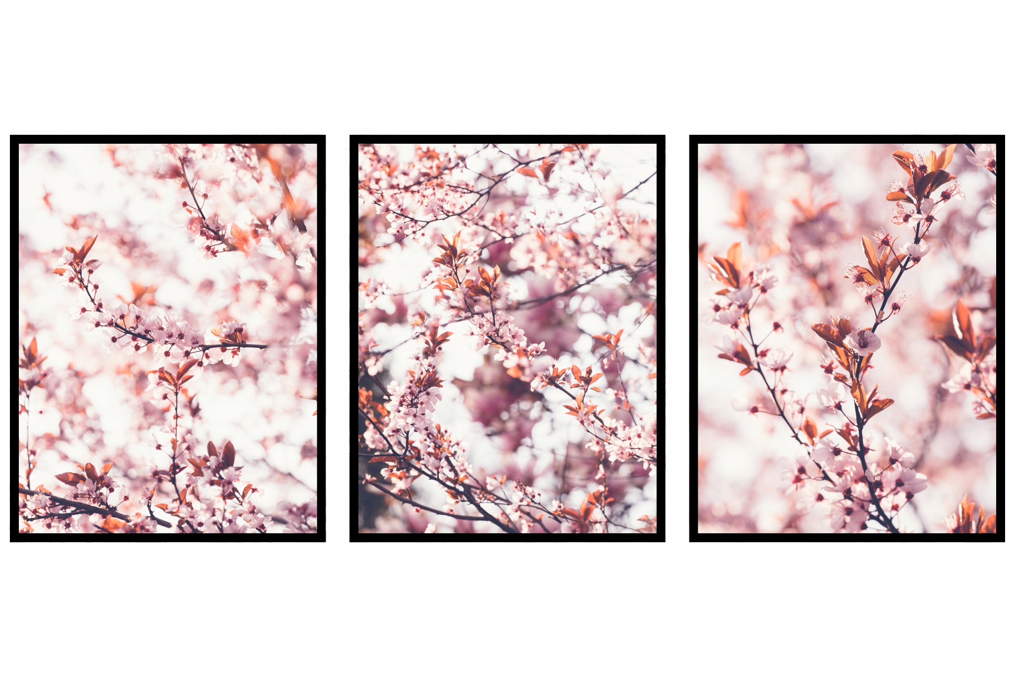 Kvety na stromoch Triptych plagáty jar 60x90 cm