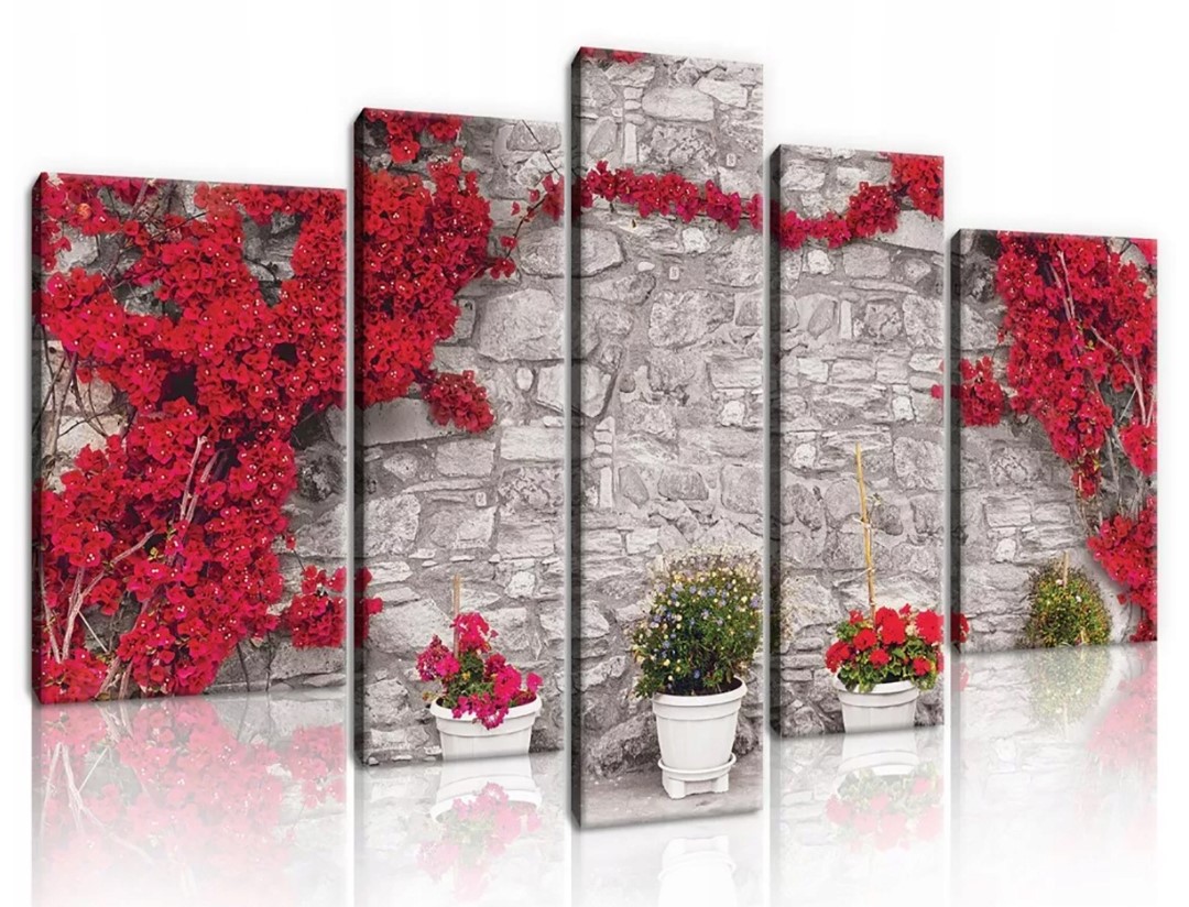 Obraz 170x100 Bugenwilla stena leto kvety kvetináče slnko teplo juh