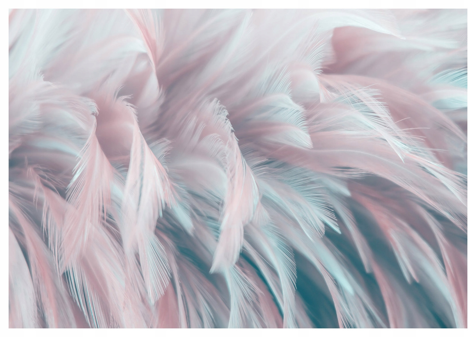 Fototapeta Pastelová pera Abstrakt Lehkost Relax Elegance 400x280 lepidlo