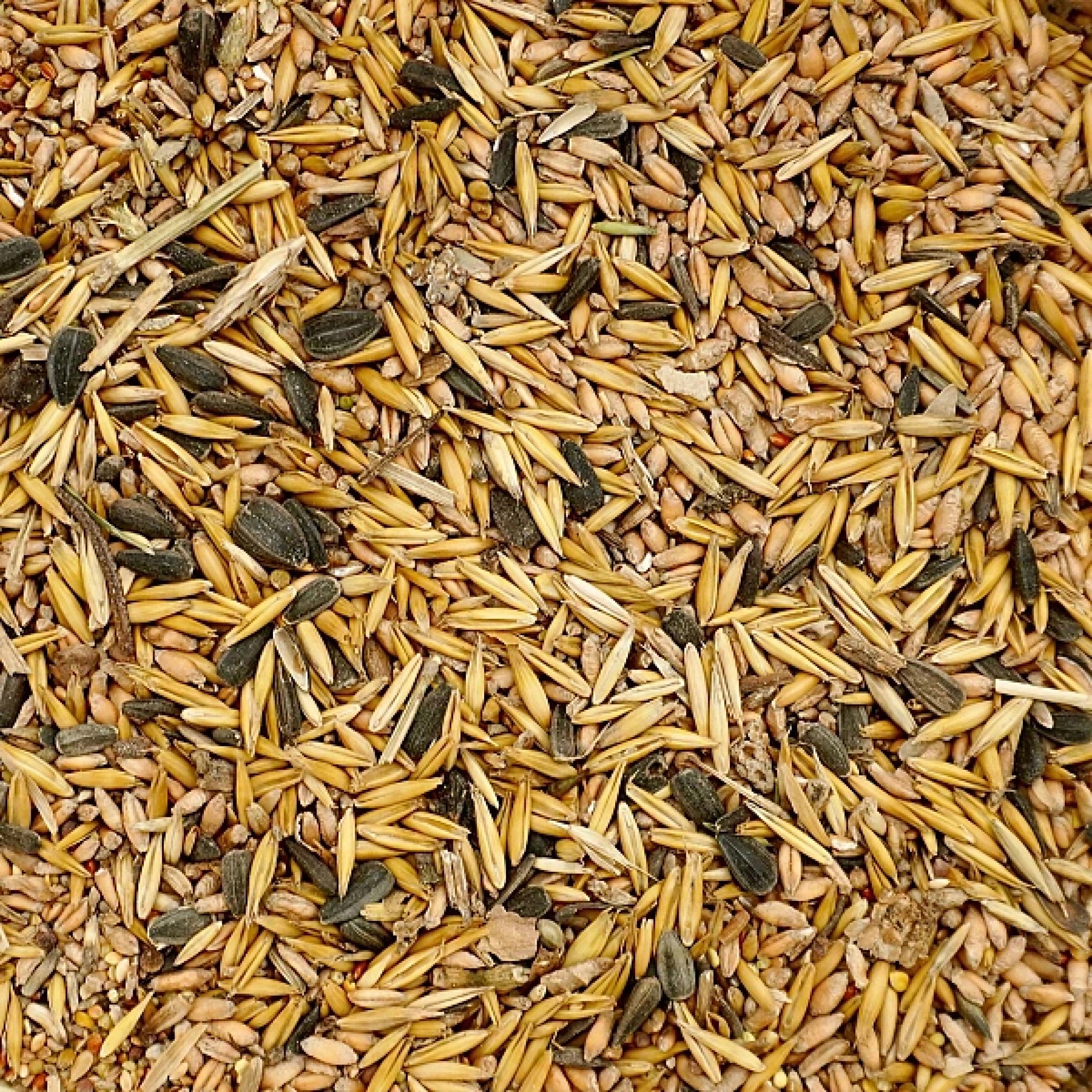 20kg Uniwersalna karma dla ptaków ziarno pokarm zimowy karmnik Champi Marka Champion