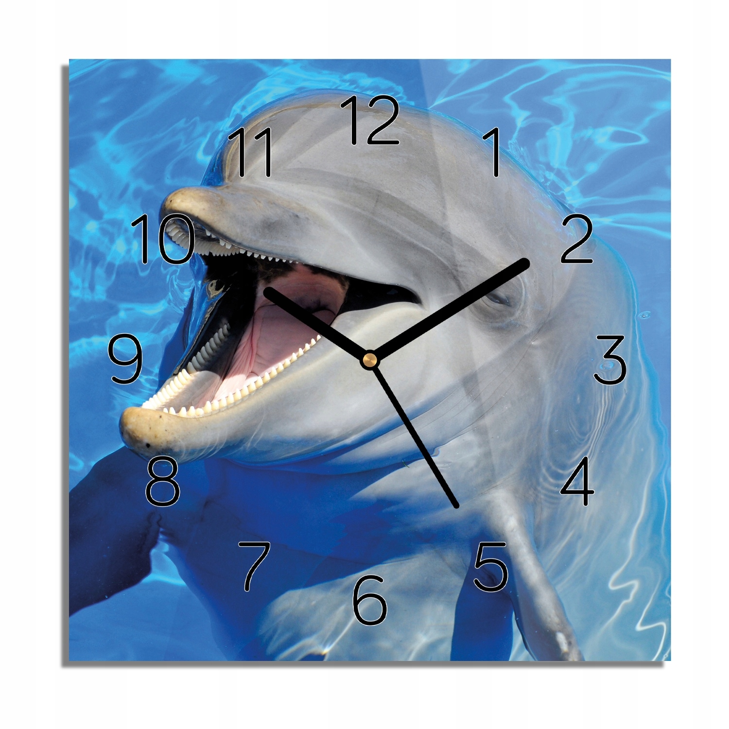 

Delfin butlonosy foto-zegar na ścianę 30x30 z foto