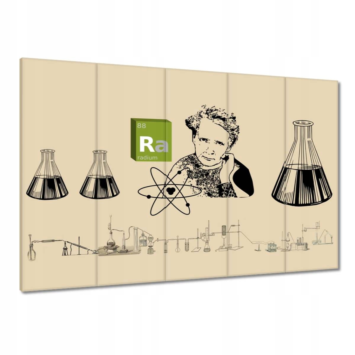 Obrazy 100x70 Maria Skłodowska-Curie