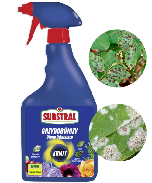 

Substral Saprol Środek Grzybobójczy Spray 750ml