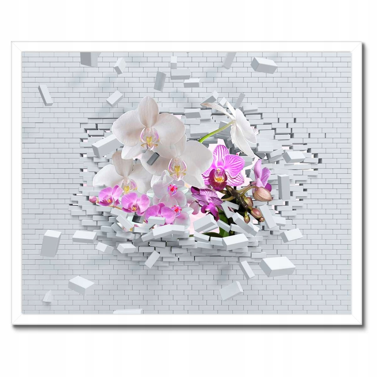 Plakáty v rámu 50x40 Orchidejem do zdi Květiny
