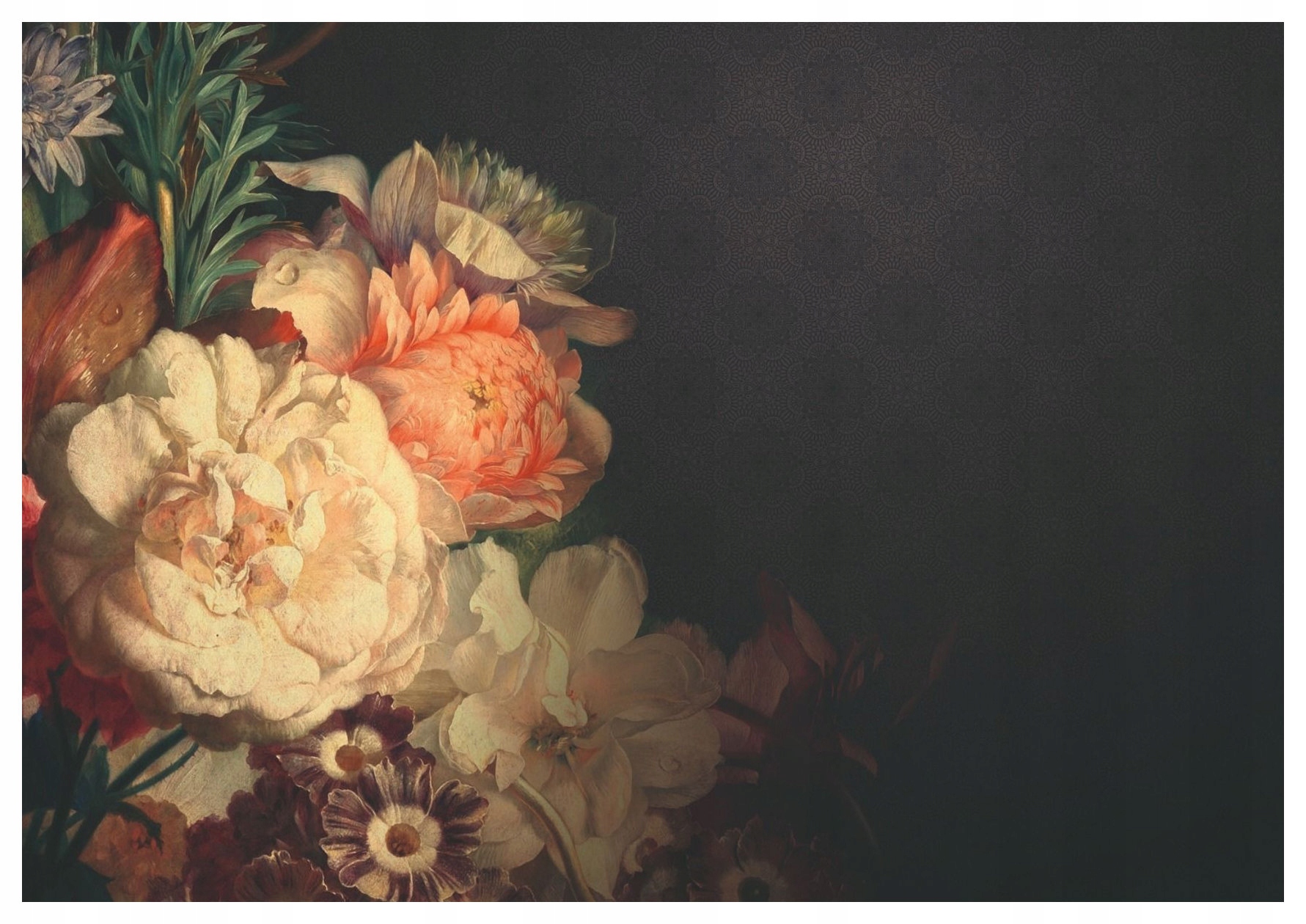 Fototapeta Kvety na tmavom pozadí Elegancia a romantika 300x210 lepidlo