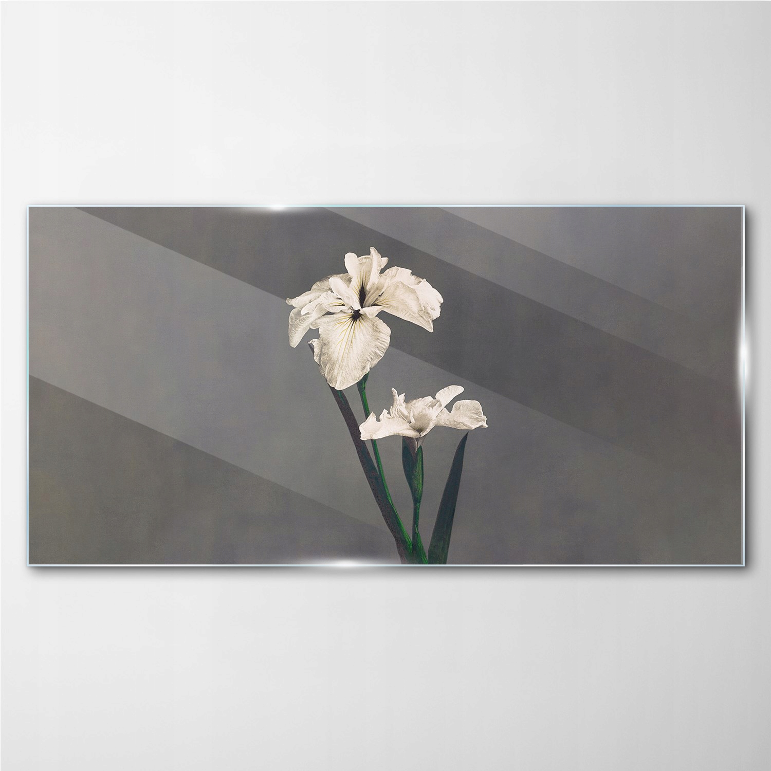 

Foto obraz szklany na ścianę Kwiaty rośliny 140x70