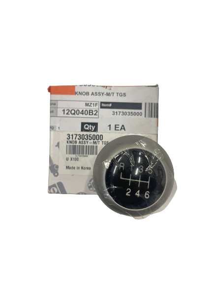 3173035000 GAŁKA ZMIANY BIEGÓW TIVOLI XLV