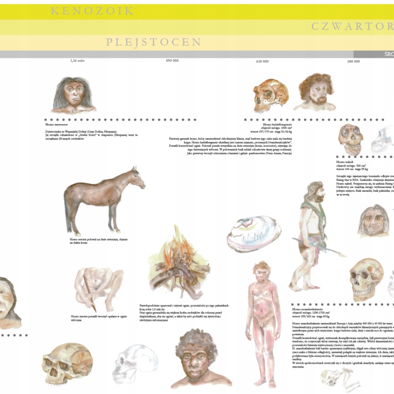 LINIA EWOLUCJI CZŁOWIEKA - 200 CM X 67 CM mata zmywalna Mundo Region świat