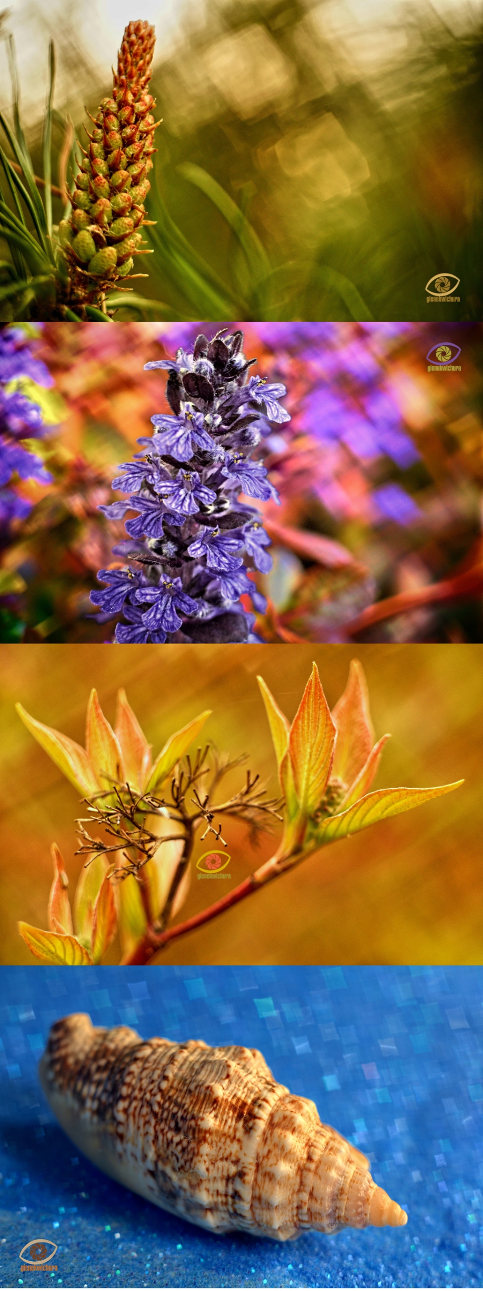 M42 voigtlander lanthar 2,8/50 swirly bokeh Model Lanthar