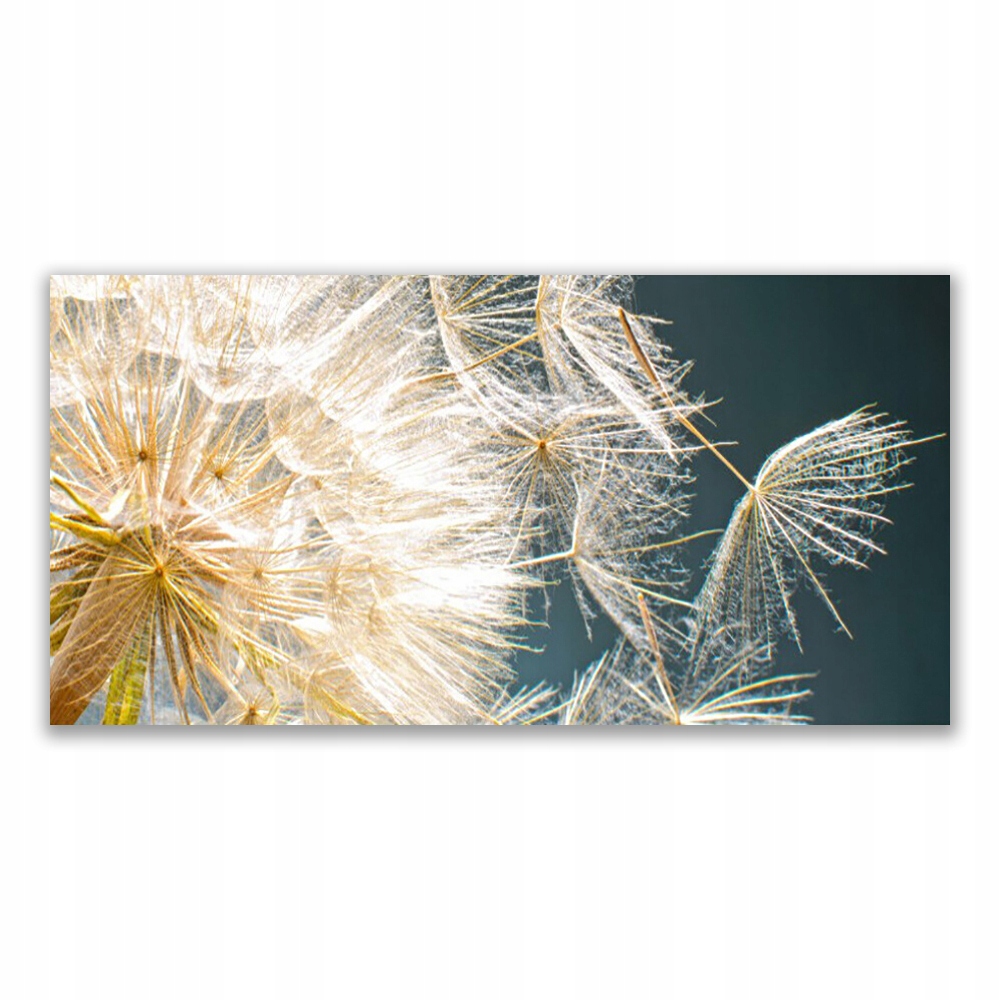 

Obraz nowoczesny 140x70 Mniszek Lekarski Roślina