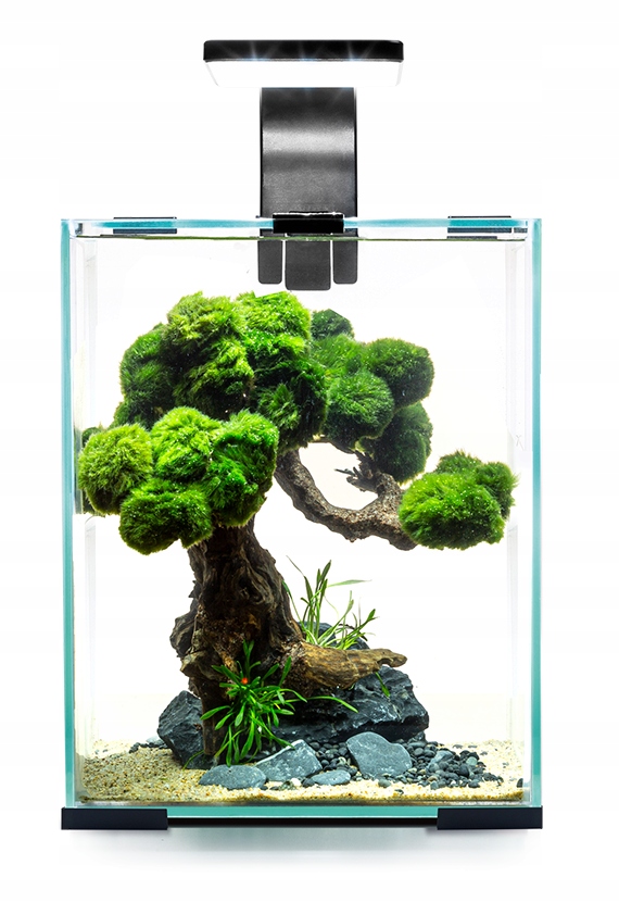 

Aquael Shrimp Set 20 Czarny Day&night 25x25x30