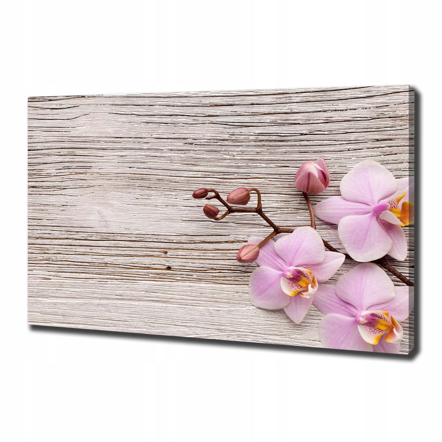 

Foto obraz na płótnie Orchidea na drewnie 100x70cm
