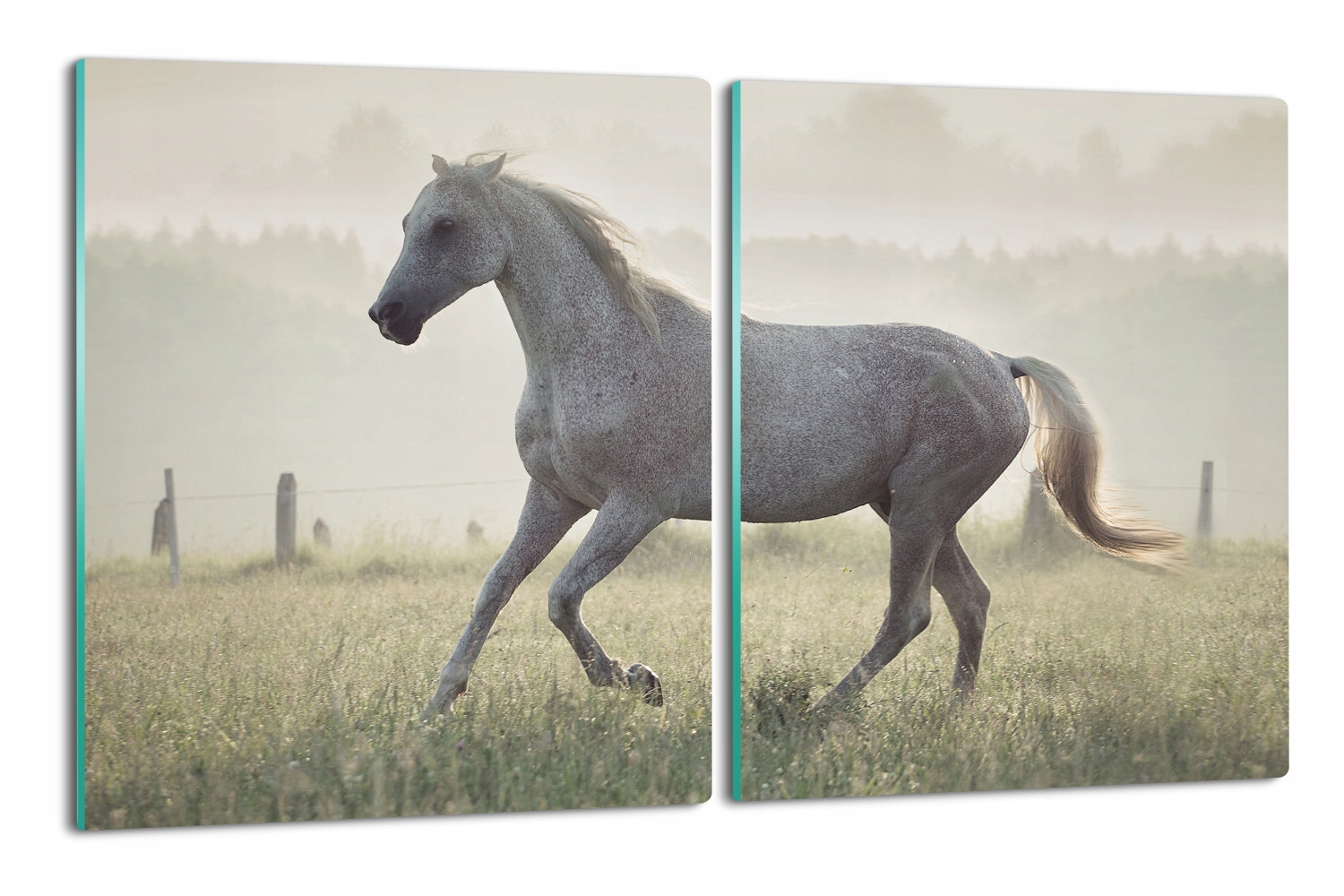 s potiskem obal 2x 40x52 Běžící bílý kůň