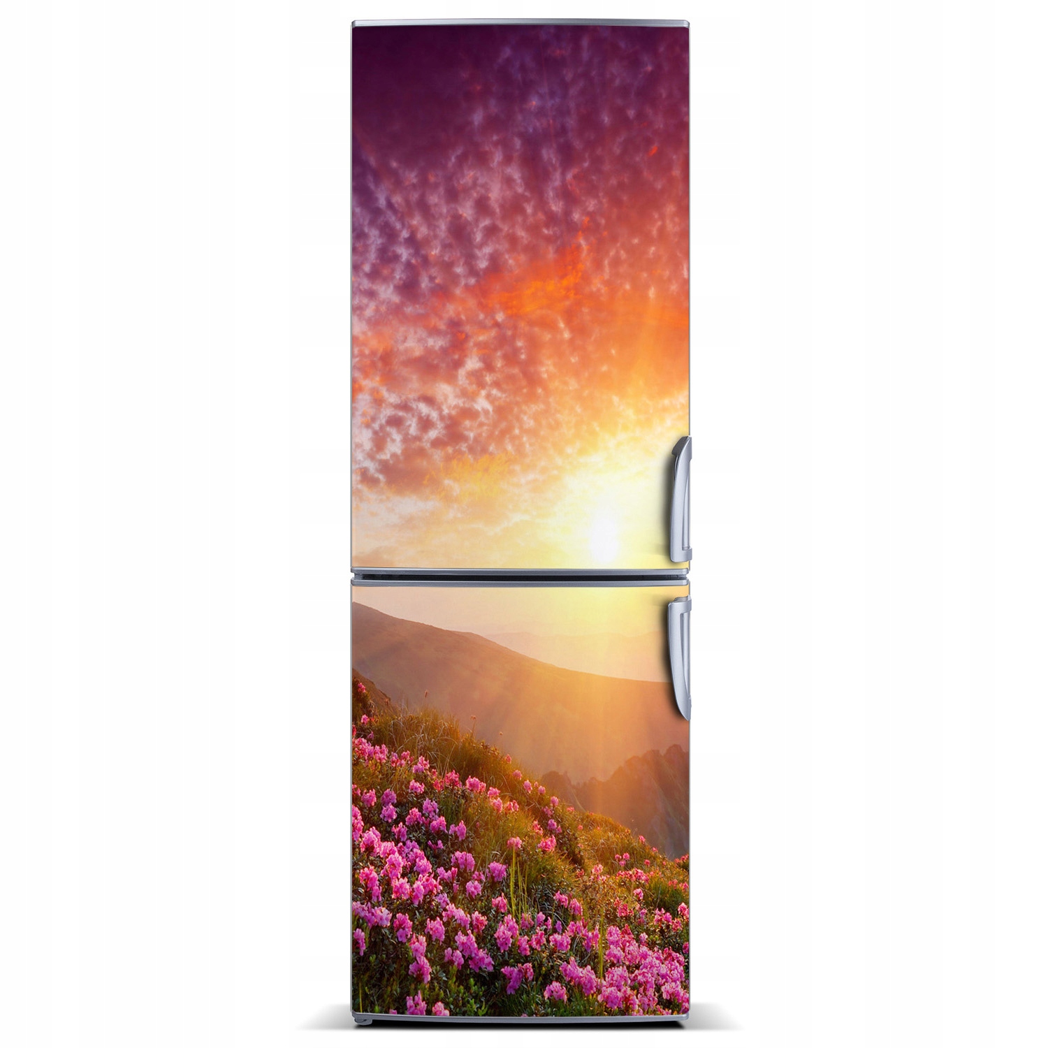 

Magnes Tapeta na lodówkę Wiosna w górach 60x180