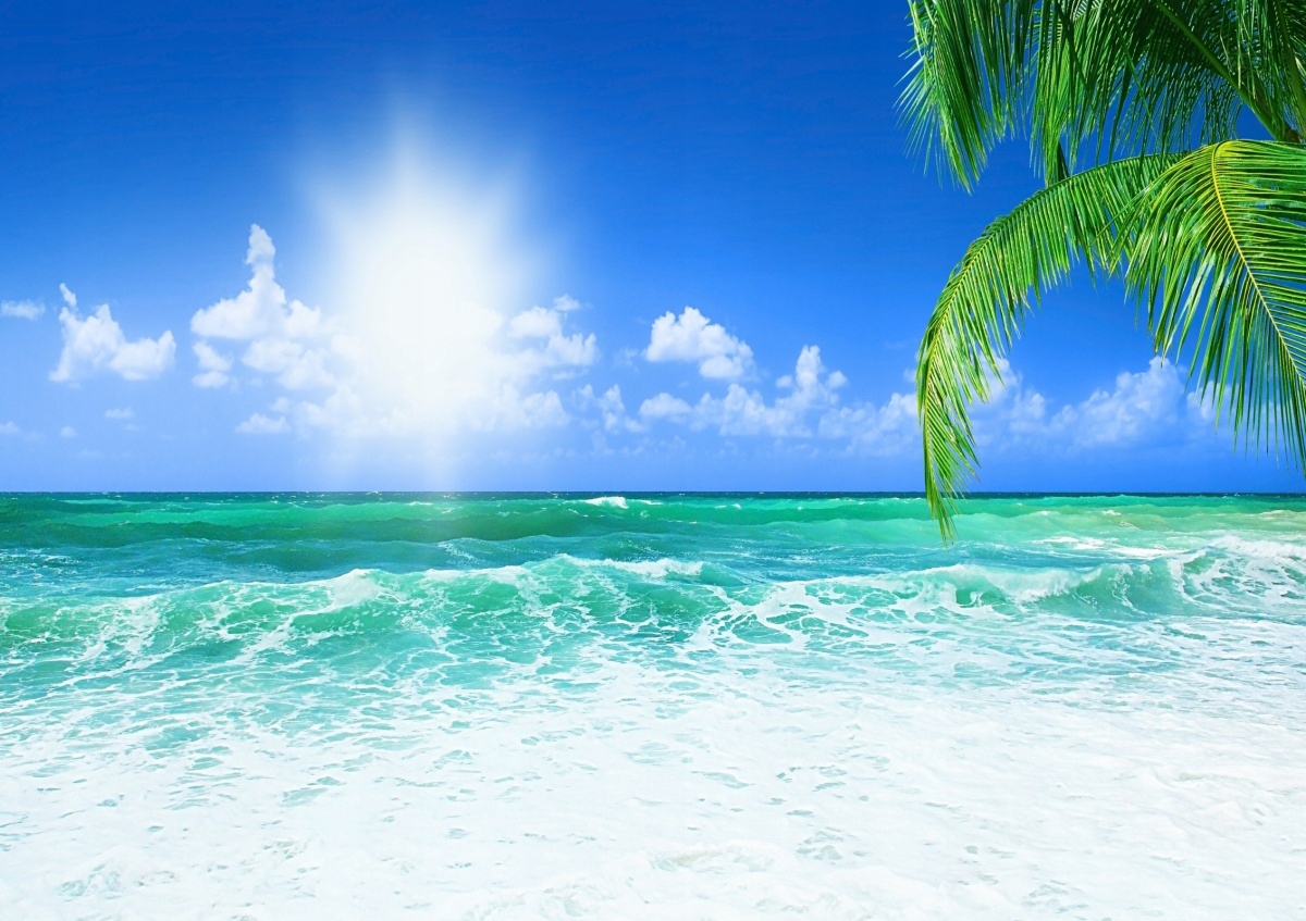 

Tapeta flizelinowa Plaża Niebo - 208x146