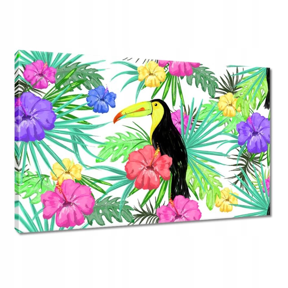 

Obrazy 90x60 Monstera Tukan Hibiskus
