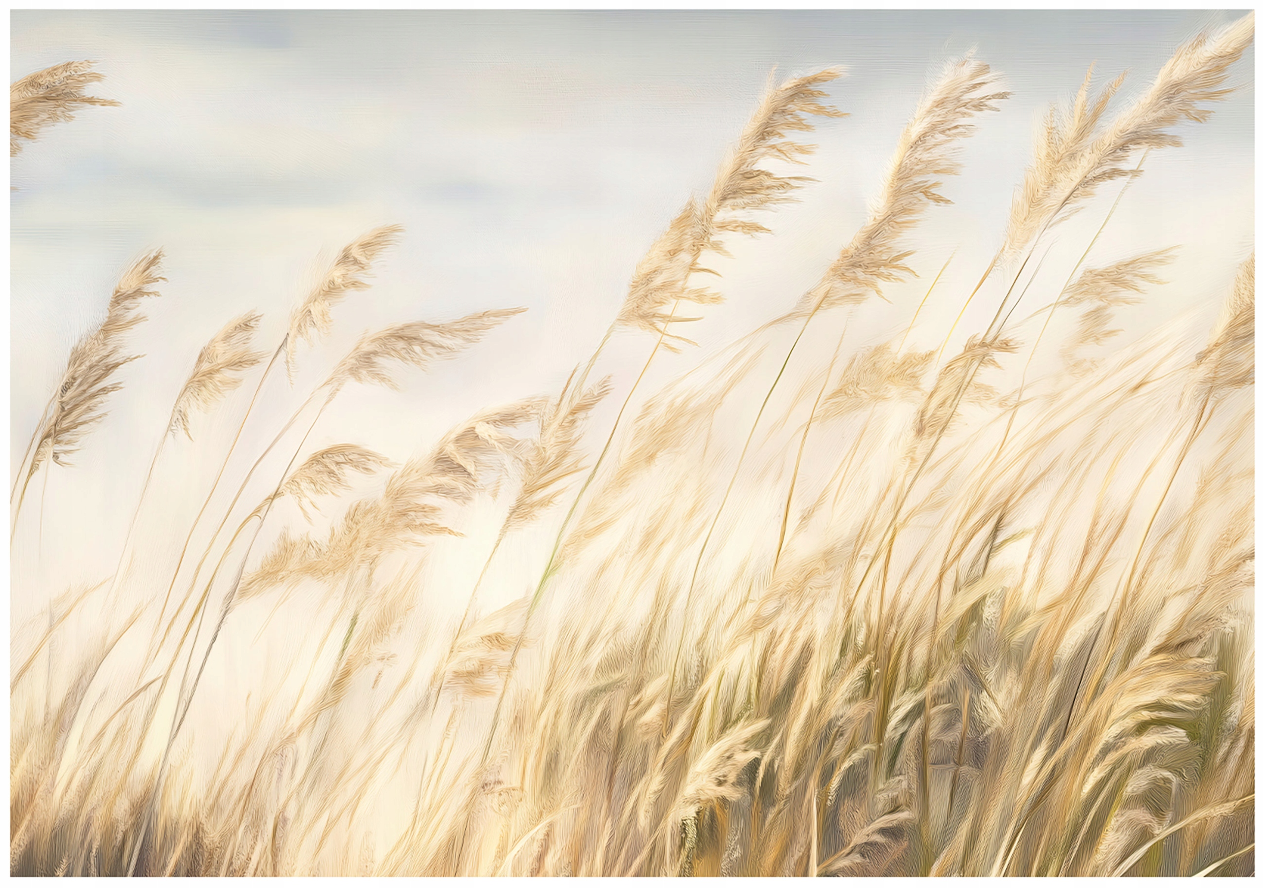 Fototapeta Pampová Tráva Príroda Spálňa Salón Tapeta Flizelina 350x250