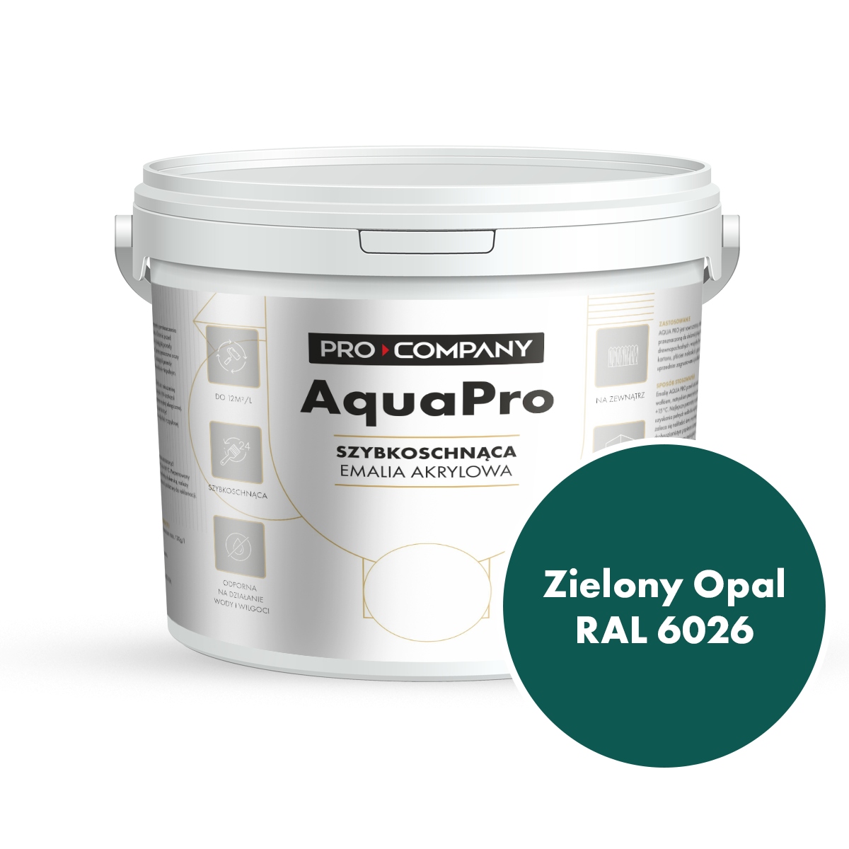 Aqua Pro Emalia Akrylowa Szybkoschnąca 9L Zielony Opal Ral 6026