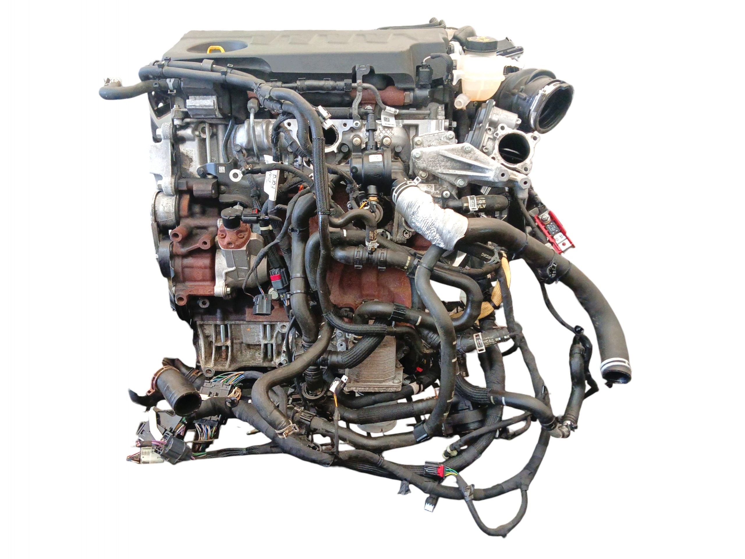 engine complete FORD FOCUS MK4 2.0 EcoBlue 190KM 140kW BCDA 81 TYS