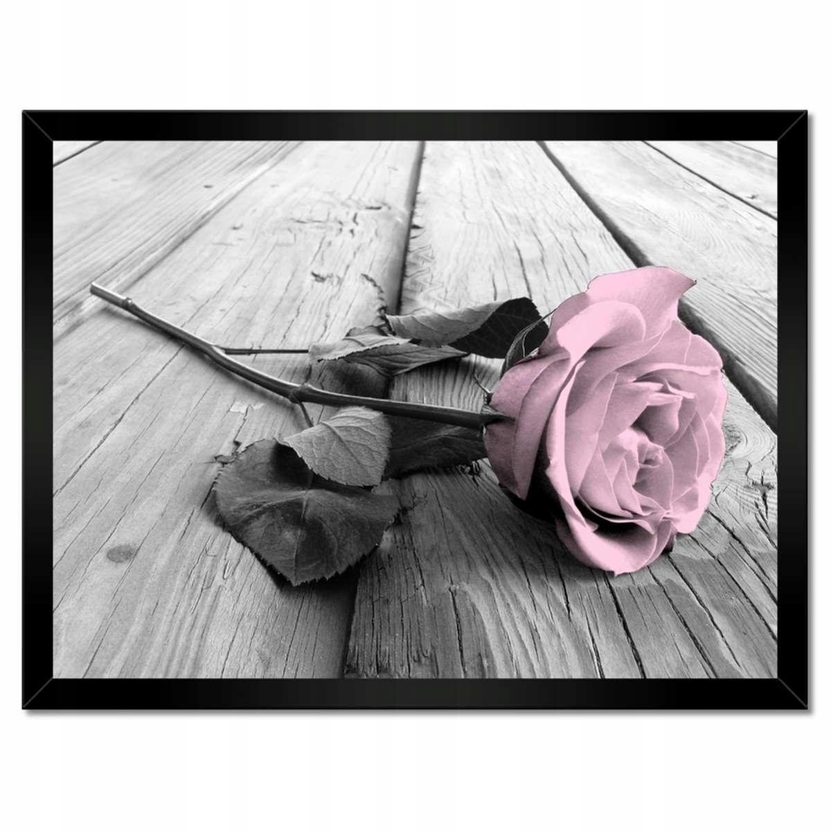 Plakáty v rámu 40x30 Pudrová růžová Old pink Rose