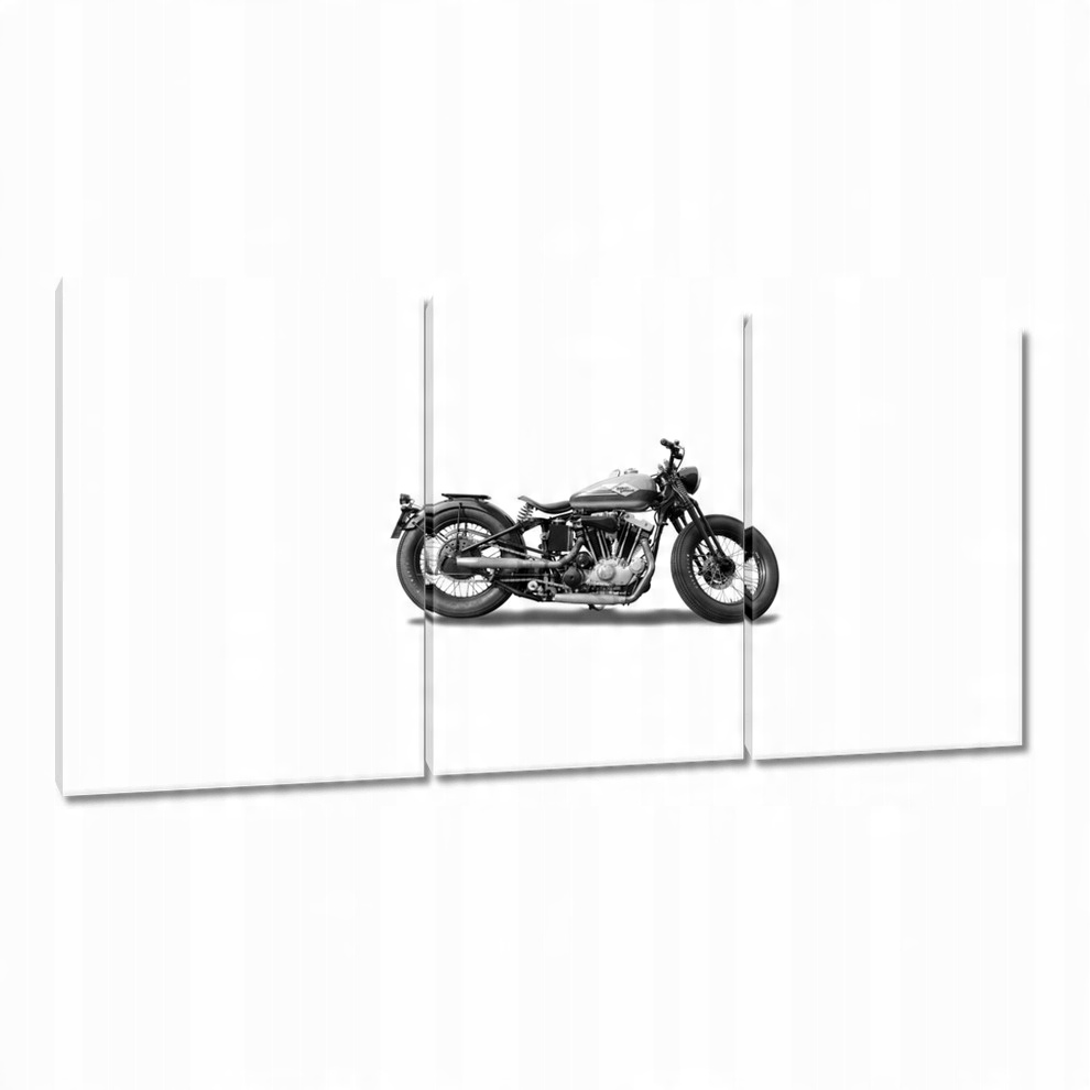 

Obrazy 120x60 Harley Davidson Motocykl