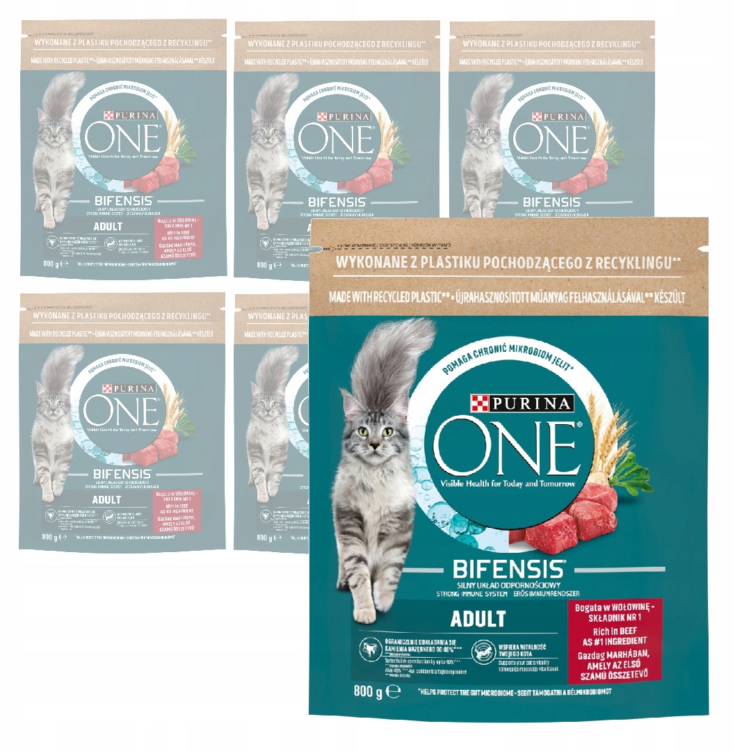 Levně Purina One Bifensis Adult 6x800g Suché Krmivo Pro Kočky s hovězím masem