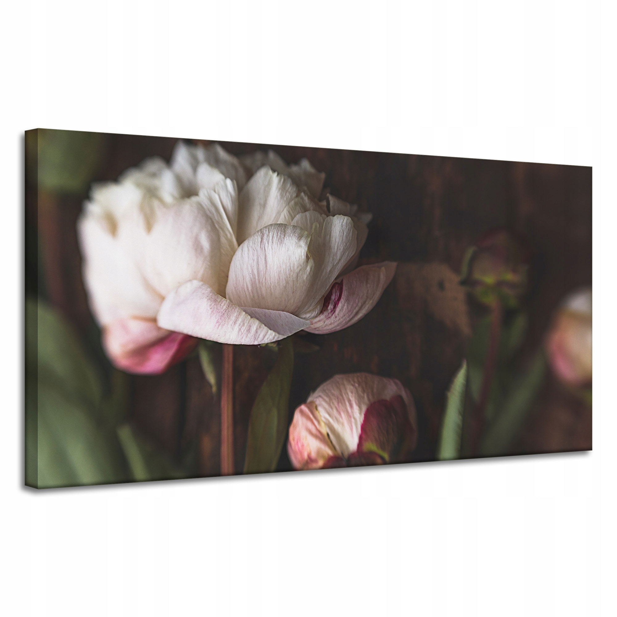 Obraz na plátně Bílý Květ Pivoňky Bílá a Růže Příroda Vintage Retro 120x60