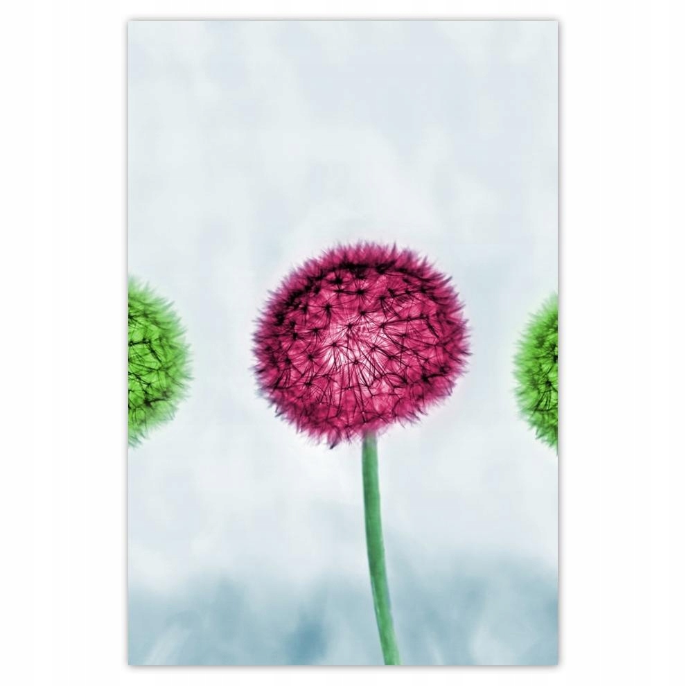

Plakat 62x93 Kolorowe dmuchawce