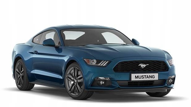 USZCZELKA BLOTNIKA LEWEGO MUSTANG 2015 17 FORD OE Installation side front left