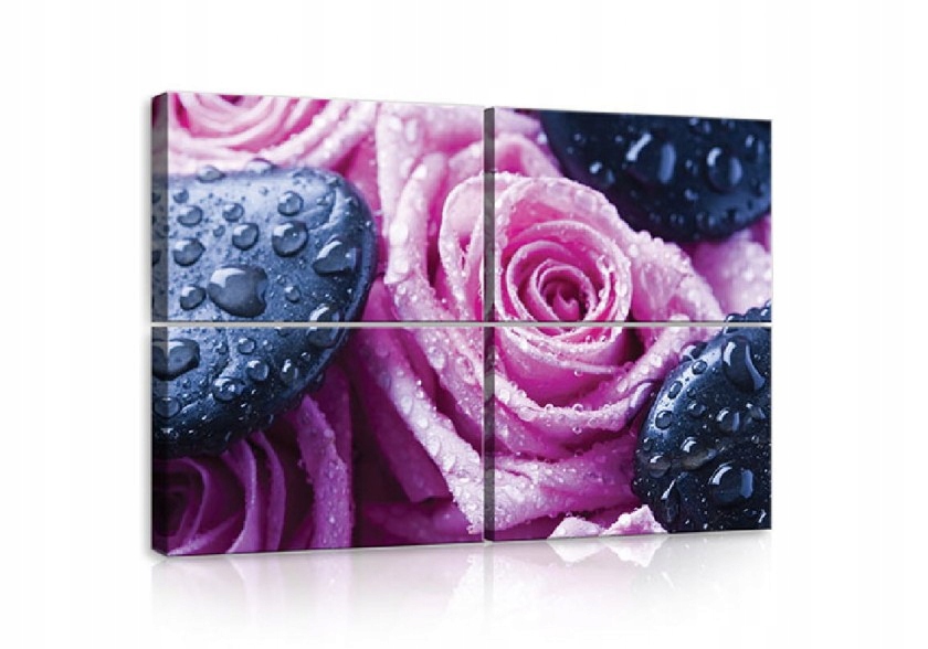 Obraz 120x80 Svěžest Jemnost Rosa Kapky vody Růže Kameny Lázně Relaxace