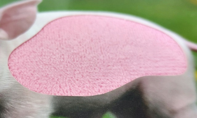 KSIĄŻECZKA KSIĄŻKA POGŁASZCZ ZWIERZĄTKO WIEJSKIE Bohater Inny