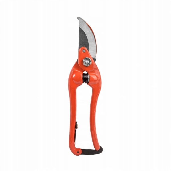 

Sekator Profi 8" Carbon Steel Bradas 8559