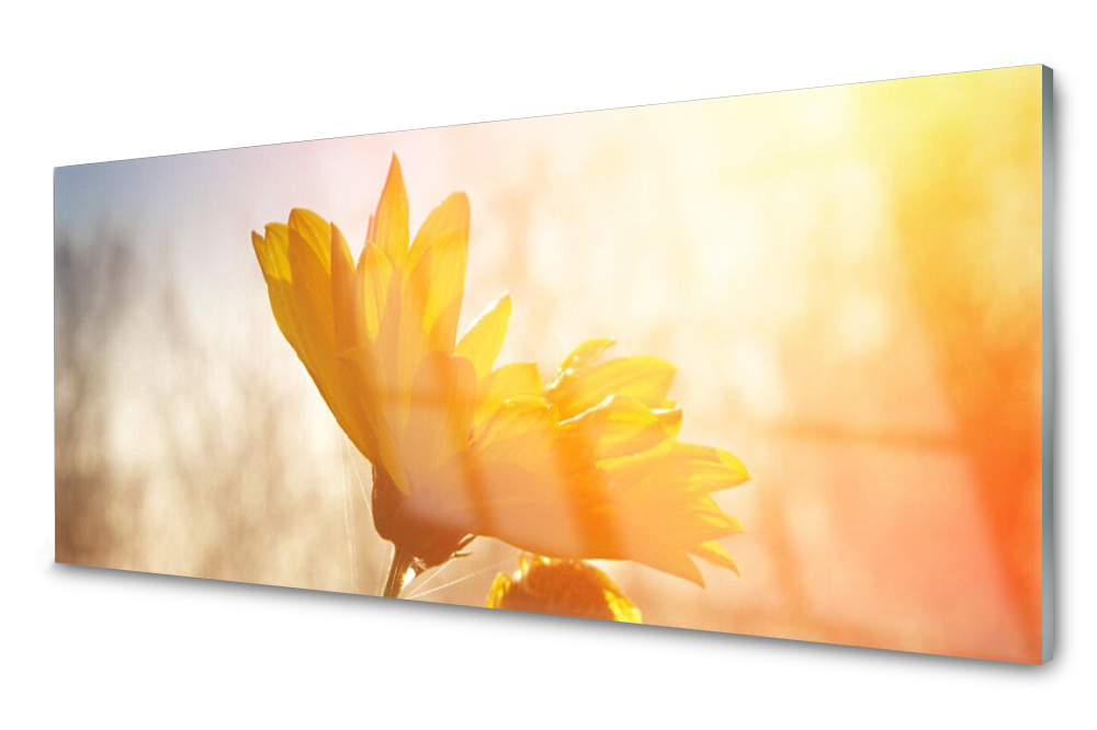 

Panel szklany do kuchni Słonecznik Kwiat 125x50
