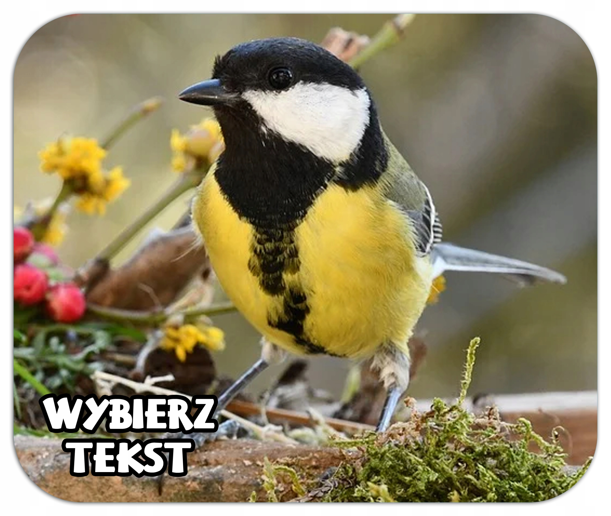 

Podkładka Pod Mysz Nadruk Ptak Sikorka Napis