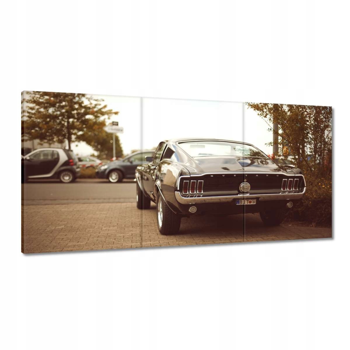 Obrazy 180x90 Vintage foto Ford Mustang