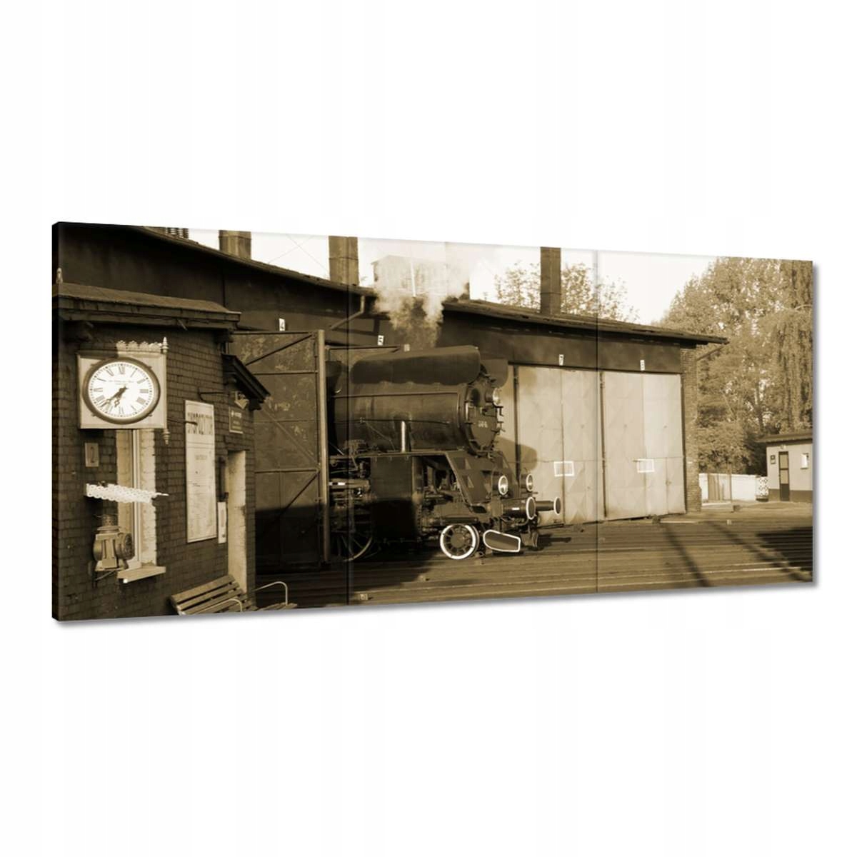 Obrazy 180x90 Parovoz Ol 49-69 Sépia