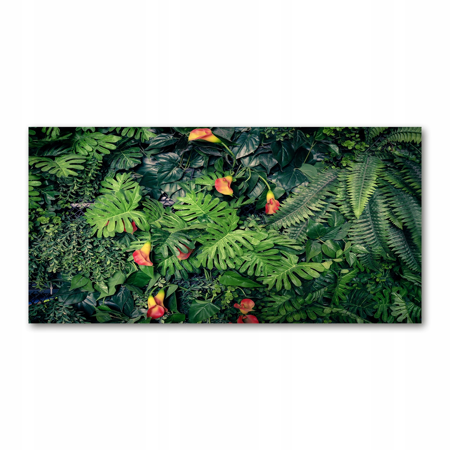 

Foto-obraz akrylowy Egzotyczna dżungla 140x70 cm