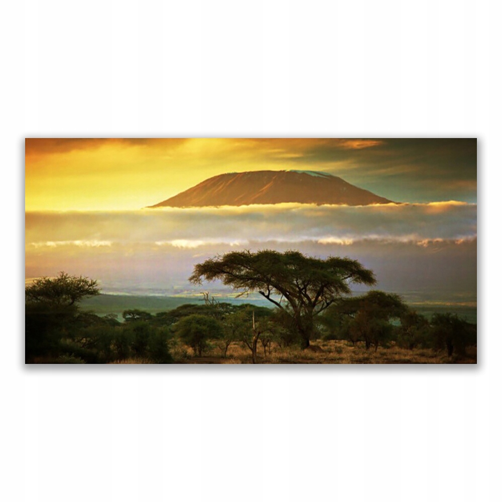 

Fotoobraz akryl 120x60 Drzewo Góry Natura Szczyt