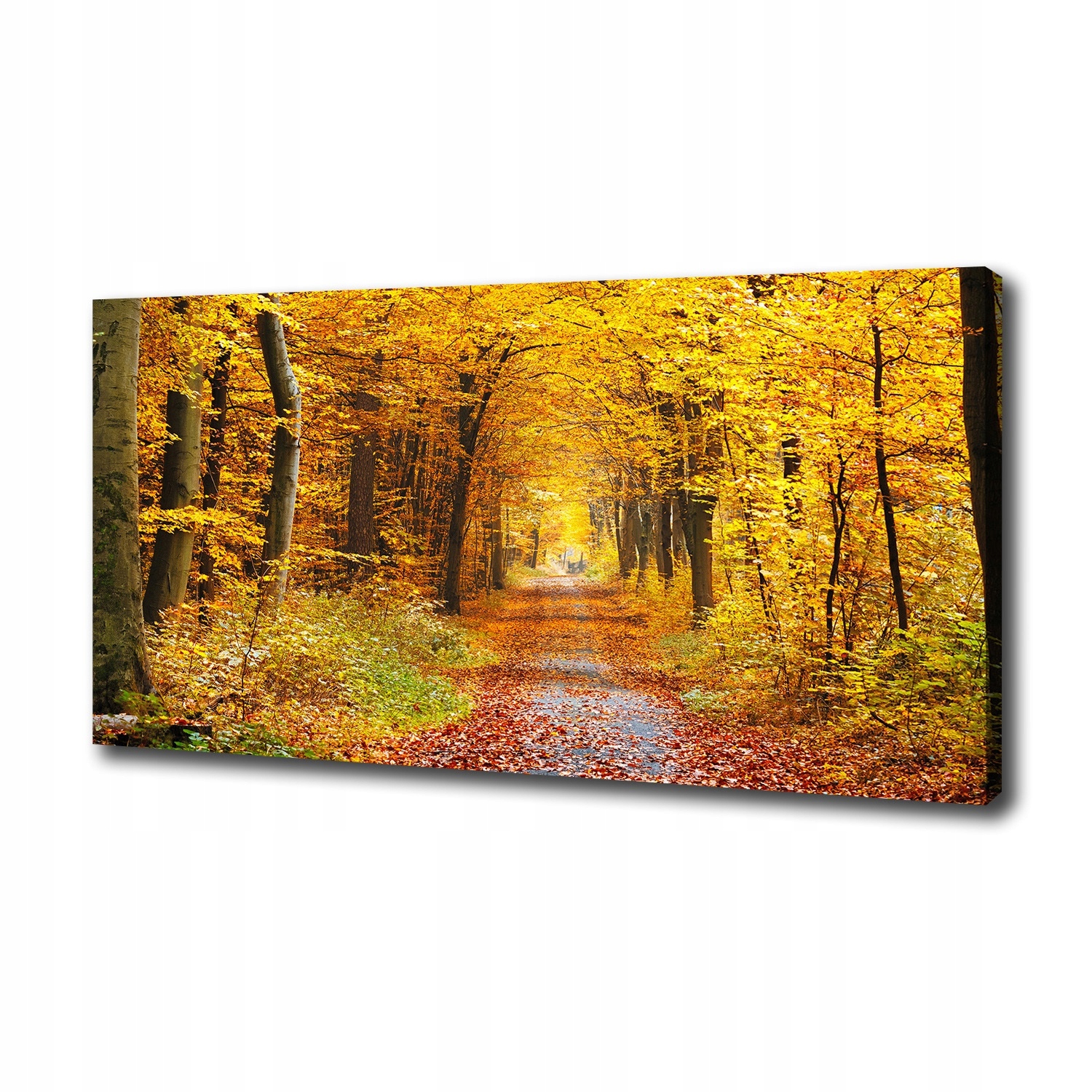 Foto obraz velký na plátně Les na podzim 140x70 cm