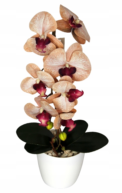 

Storczyk Sztuczny Orchidea Kwiaty Silikonowy