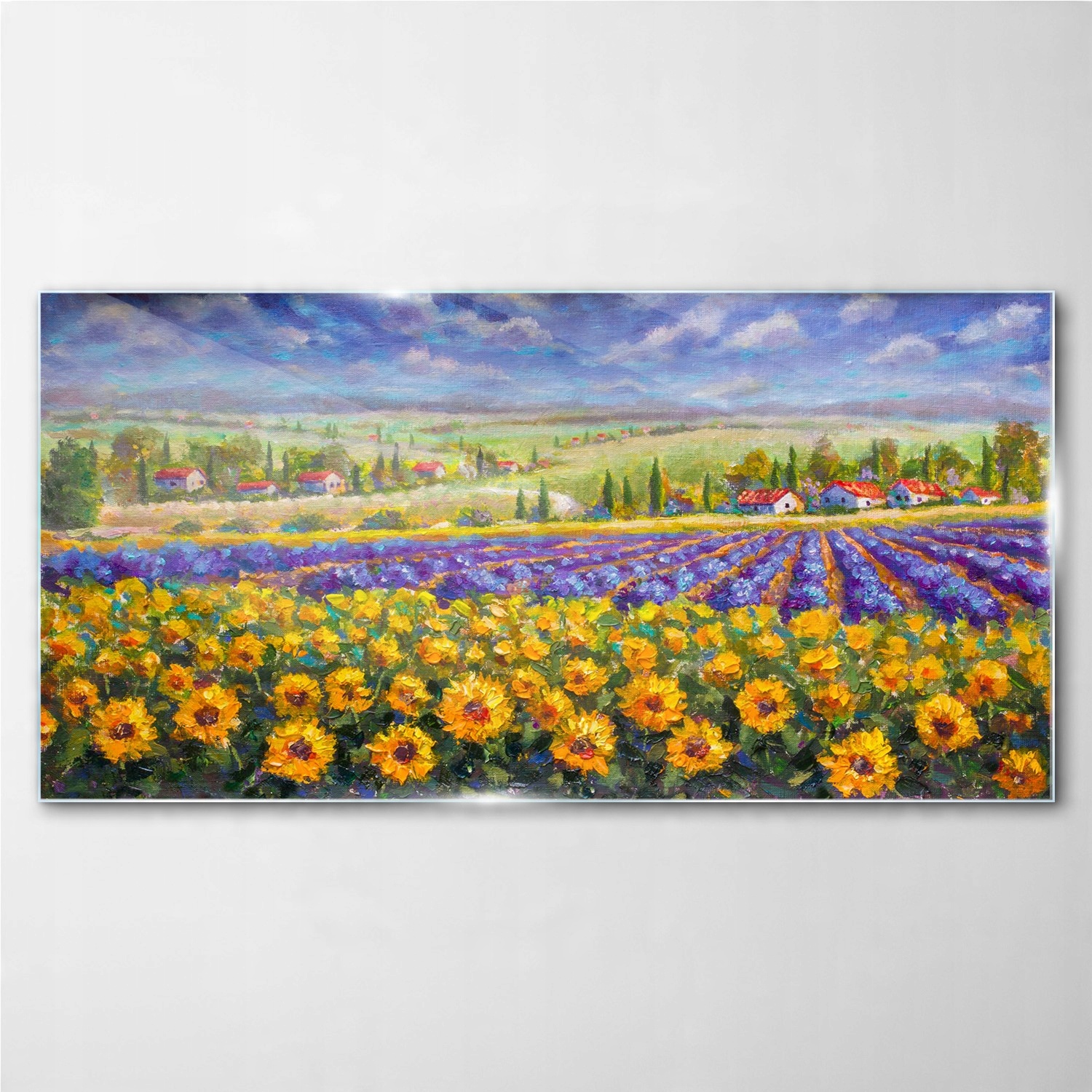 

Obraz z nadrukiem szklany Kwiaty wieś 140x70 cm