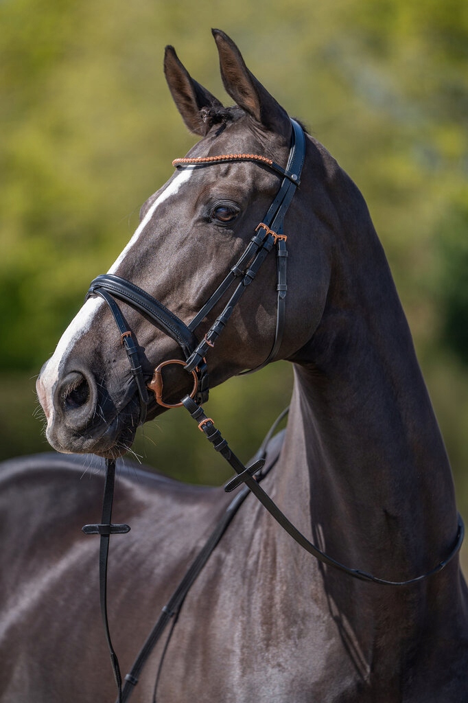 Ogłowie Hkm Rosegold Glamour Style Pony